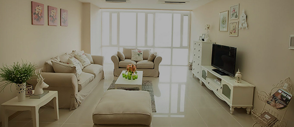 dự án thi công